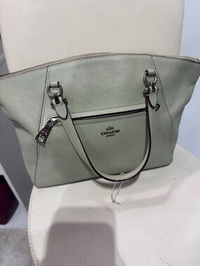 Coach Pebbled Leather Tote Bag in Pale Sage